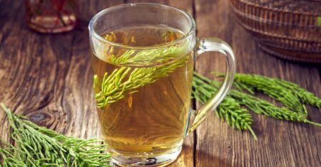 Chá de Cavalinha: Descubra os Benefícios Incríveis para sua Saúde