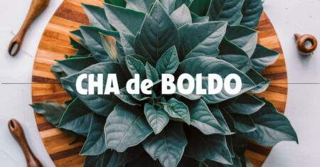 Chá de boldo: para que serve, como fazer e efeitos colaterais