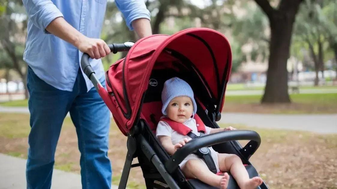 Acordando o Bebê para Alimentação