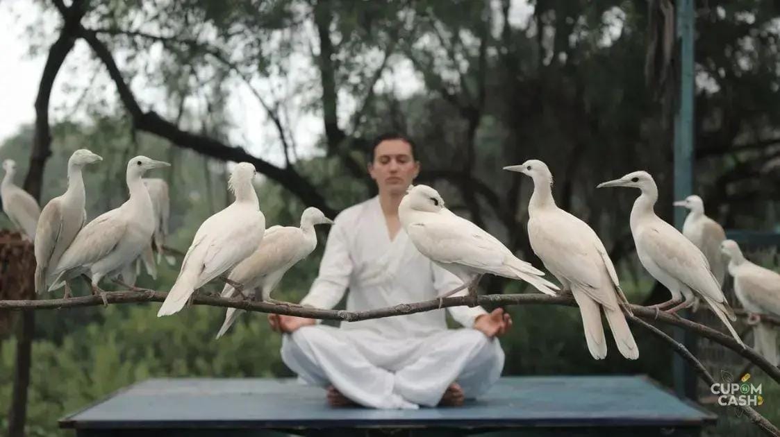 Introdução ao Banho de Descarrego